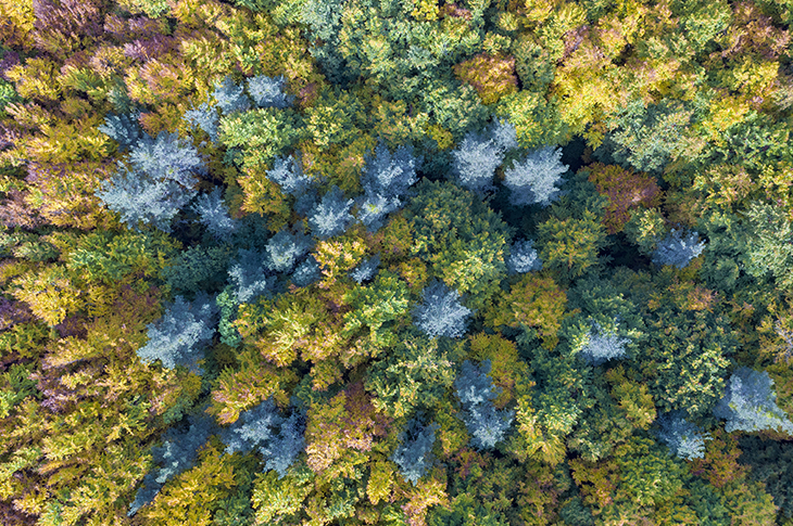 Huella Positiva offers 14 experiences in Navarre to enjoy tourism in a more sustainable and regenerative way Huella Positiva offers 14 experiences in Navarre to enjoy tourism in a more sustainable and regenerative way