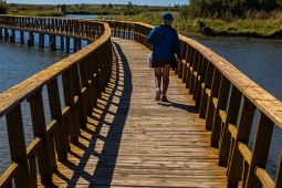 Le marais connu sous le nom de Las Tablas de Daimiel a été déclaré parc national en 1973 et réserve de biosphère en 1981 Le marais connu sous le nom de Las Tablas de Daimiel a été déclaré parc national en 1973 et réserve de biosphère en 1981