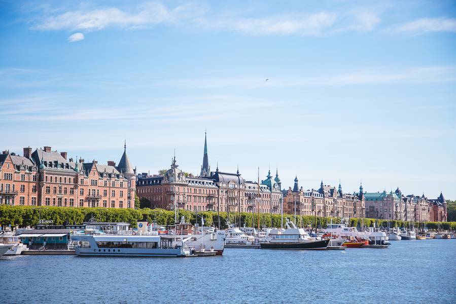 antormeettheworld antormeettheworld