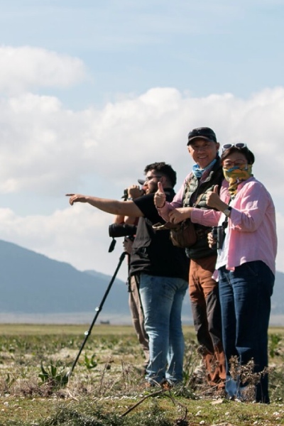 carrusel fio febrero carrusel fio febrero